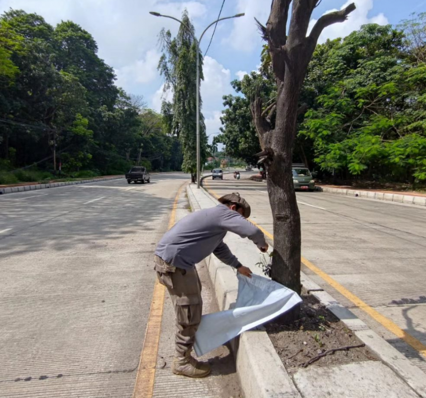 Penertiban Spanduk Satpol PP Kota Cilegon