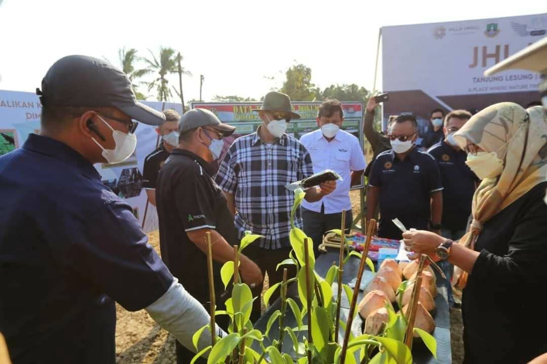 Gubernur Banten: Budidaya Vanili Dorong Pengembangan Rempah Provinsi Banten
