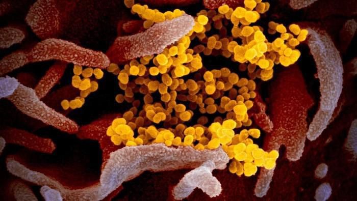 Prediksi 'The Simpsons' hingga Buatan Manusia, Ini 8 Teori Konspirasi Corona