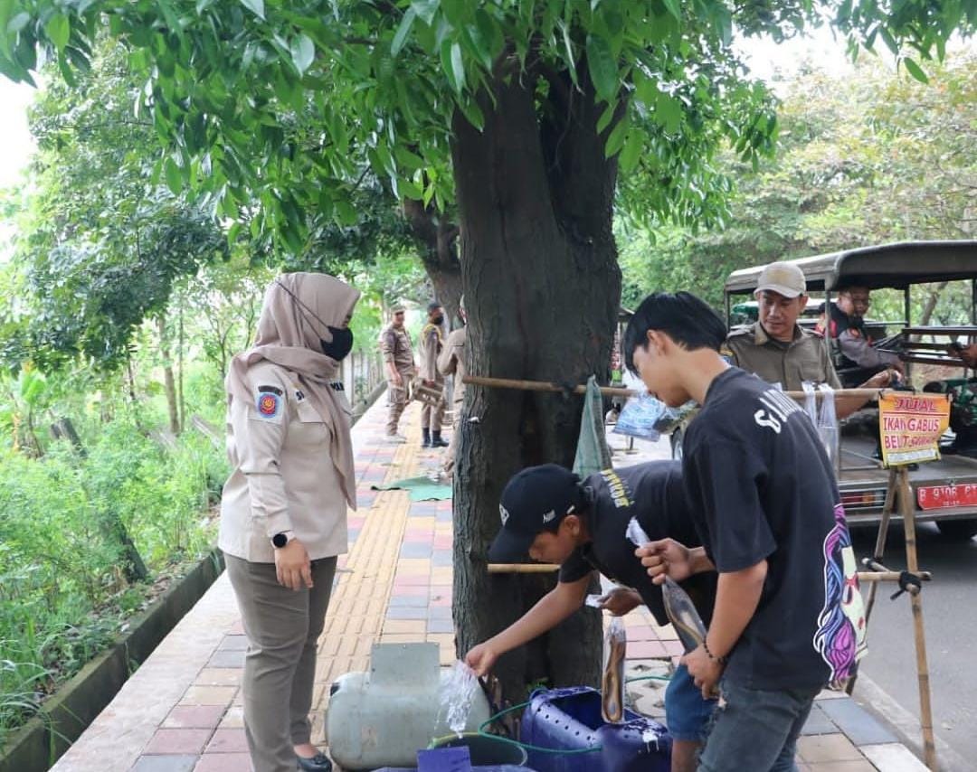 Giat Penegakan Perda No. 8 Tahun 2018 Satpol PP Kota Tangerang