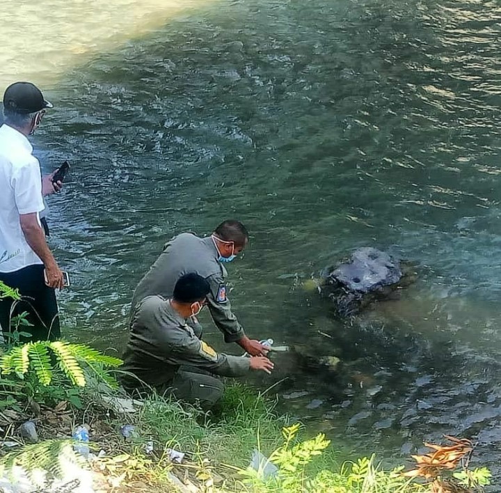 Dugaan pencemaran Sungai Cibareno Lebak